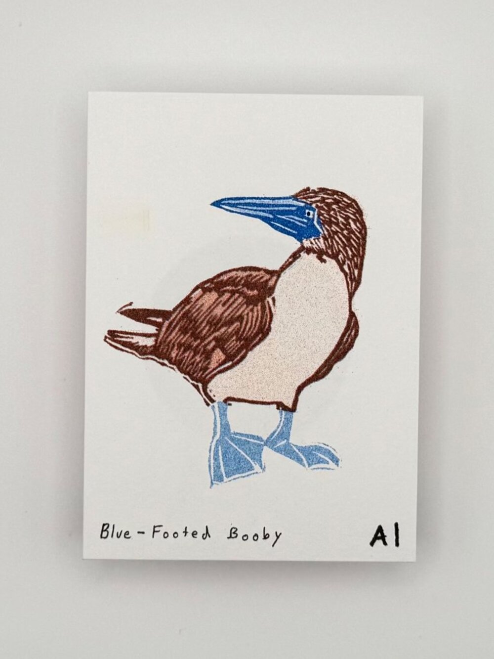 Ana Inciardi Blue-Footed Booby Mini Art Print